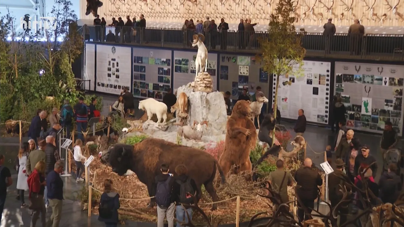 Zöldövezet: Véget ért Európa legnagyobb zöld közlekedési kampánya