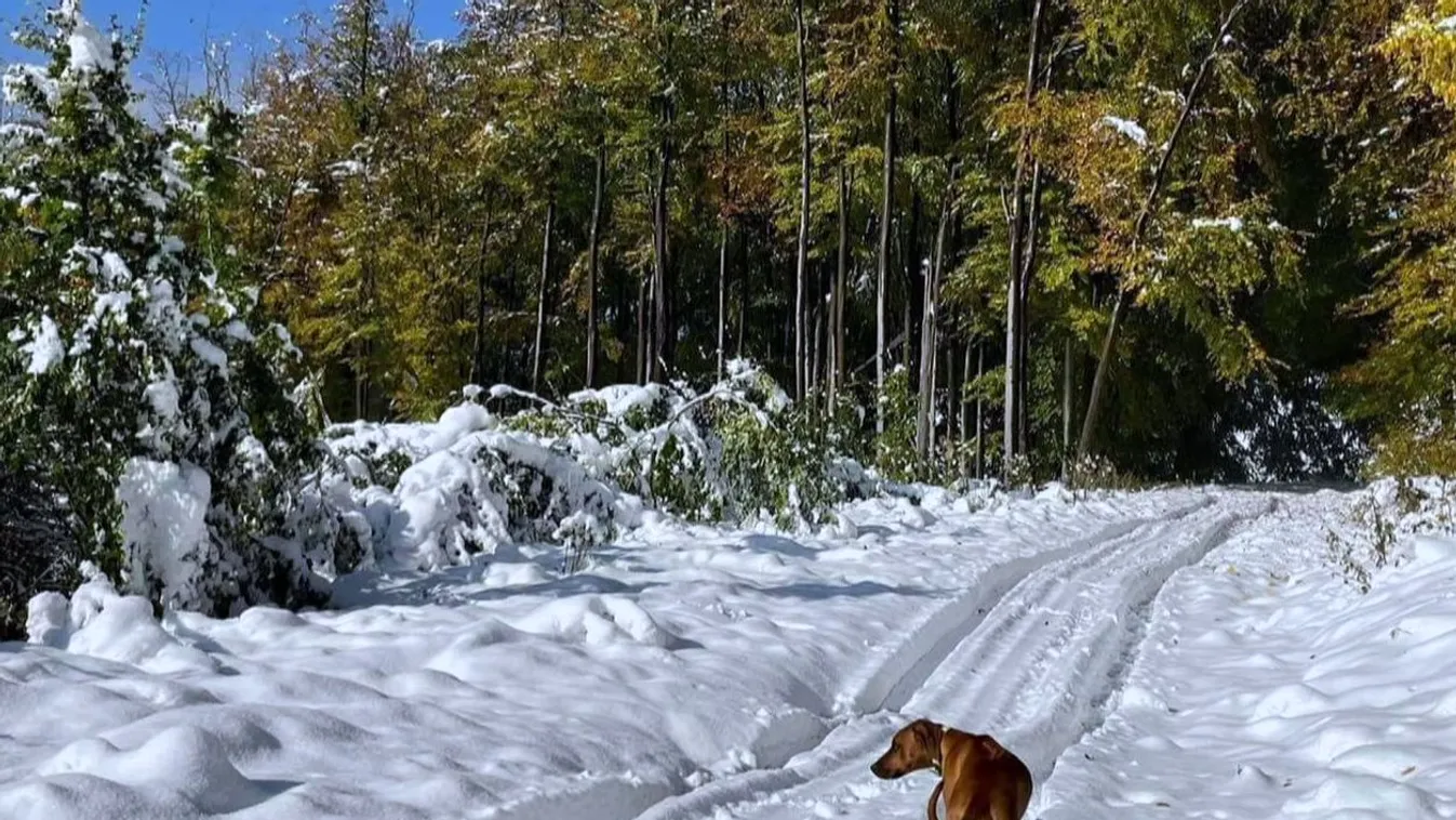 Tél az őszben Bánkúton
