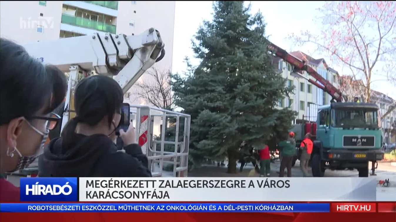 Megérkezett Zalaegerszegre a város karácsonyfája