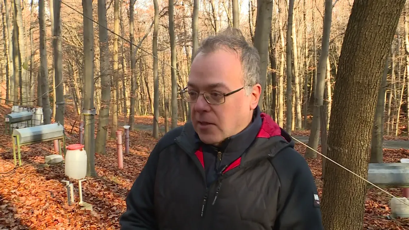 Radar: Okoseszközökkel az erdők védelméért