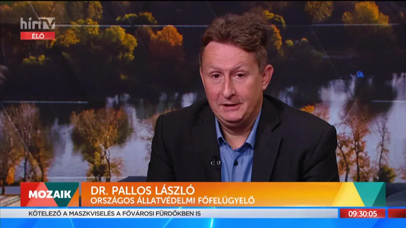 Mozaik - Szerezz te is gazdijogsit! - Elindult a gazdijogsi képzés (2021-11-02)