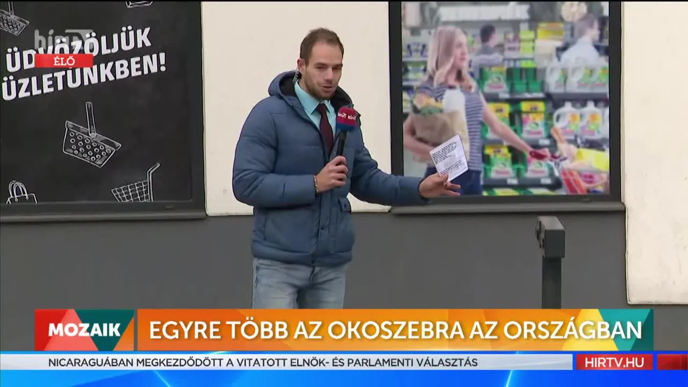 Mozaik - Okoszebra (2021-11-08)