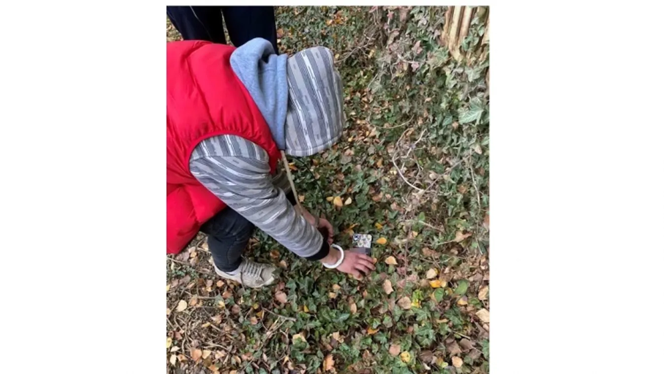 Mintha az övé lett volna