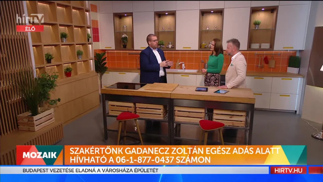 Mozaik - Milyen hatással lesz a 4. hullám az ingatlanpiacra? (2021-11-04)