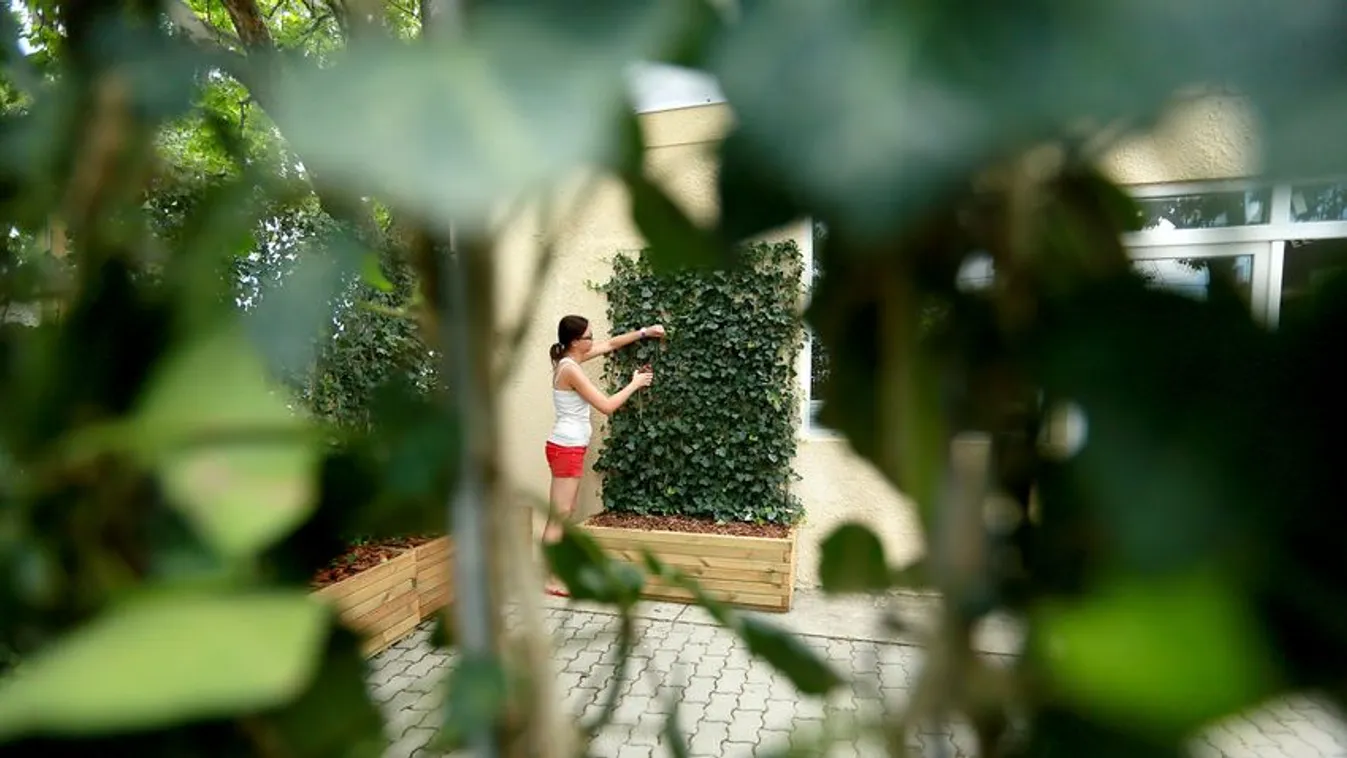 Ezúttal a kertvárosban élőknek ment neki Karácsony főtájépítésze