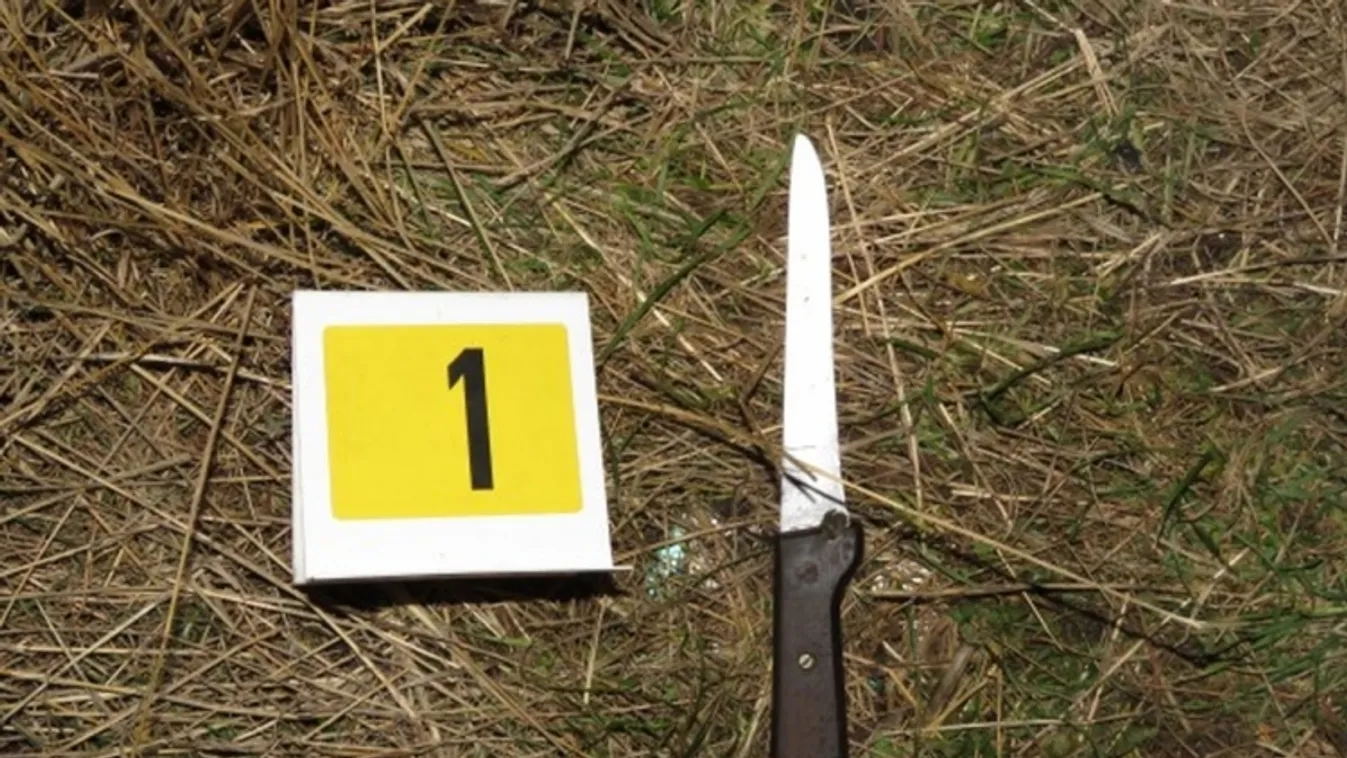 Súlyos bűncselekményt előztek meg a járőrök