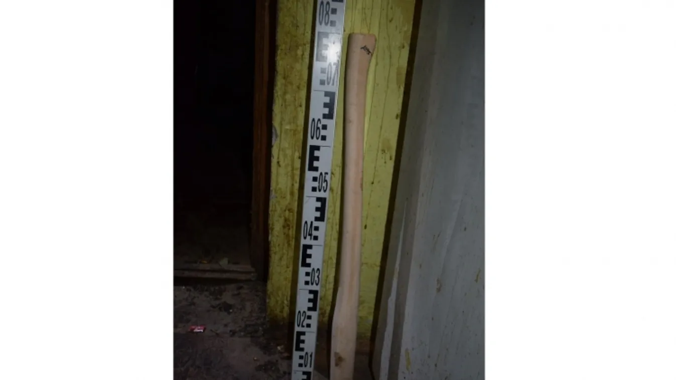 Fejszenyéllel az élettárs ellen