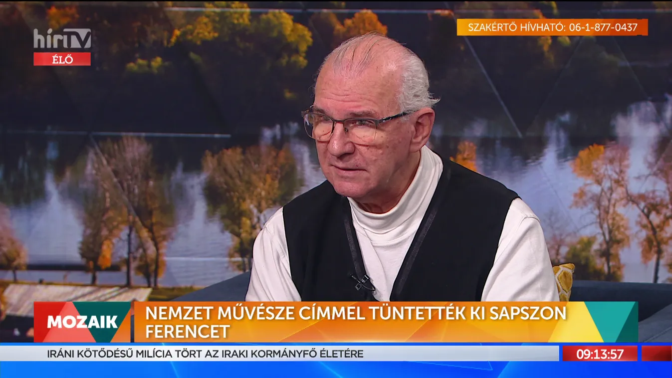 Mozaik: A Nemzet Művésze címmel tüntették ki Sapszon Ferencet