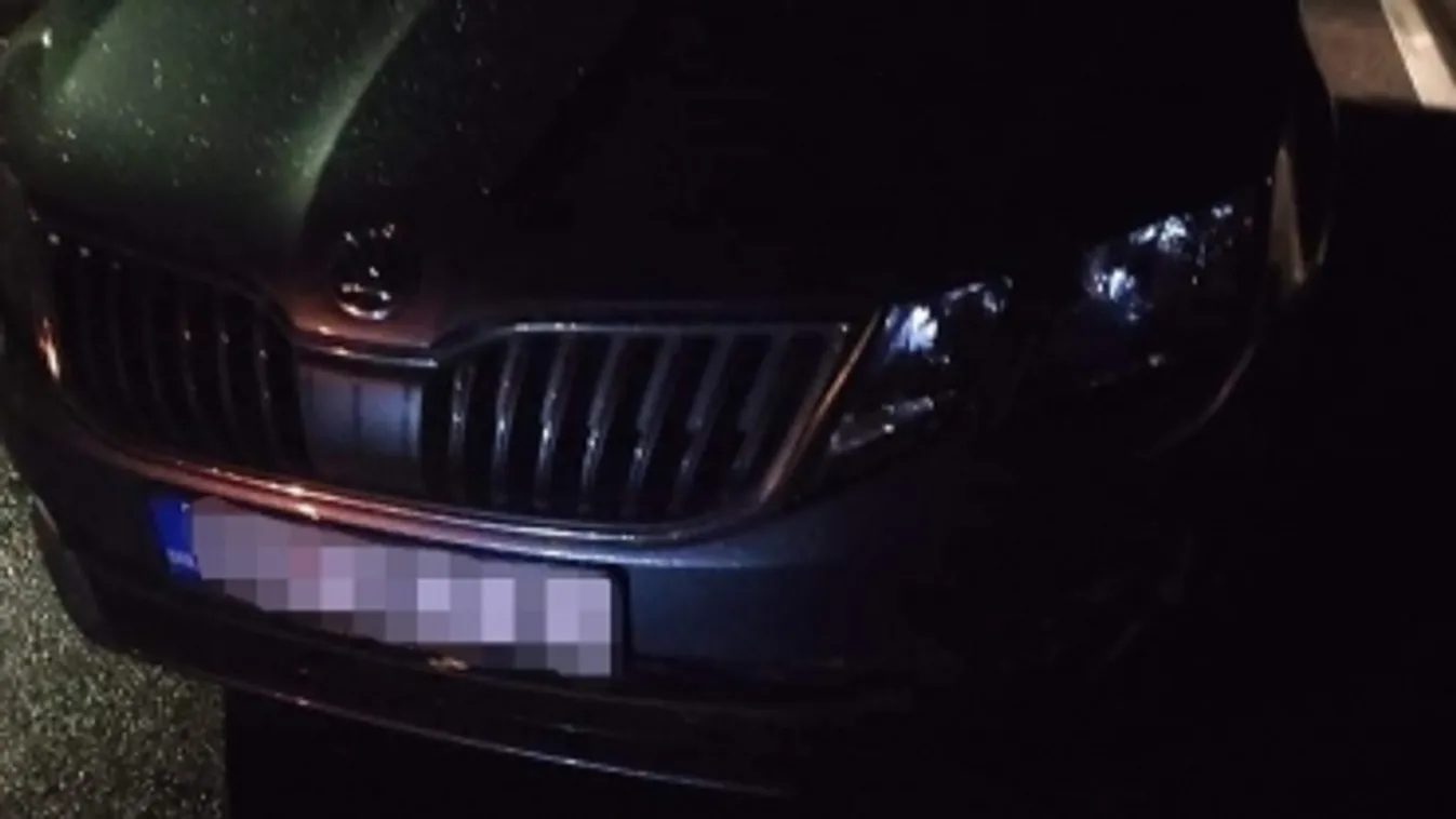 Embercsempészt fogtak el a rendőrök Tormásligeten