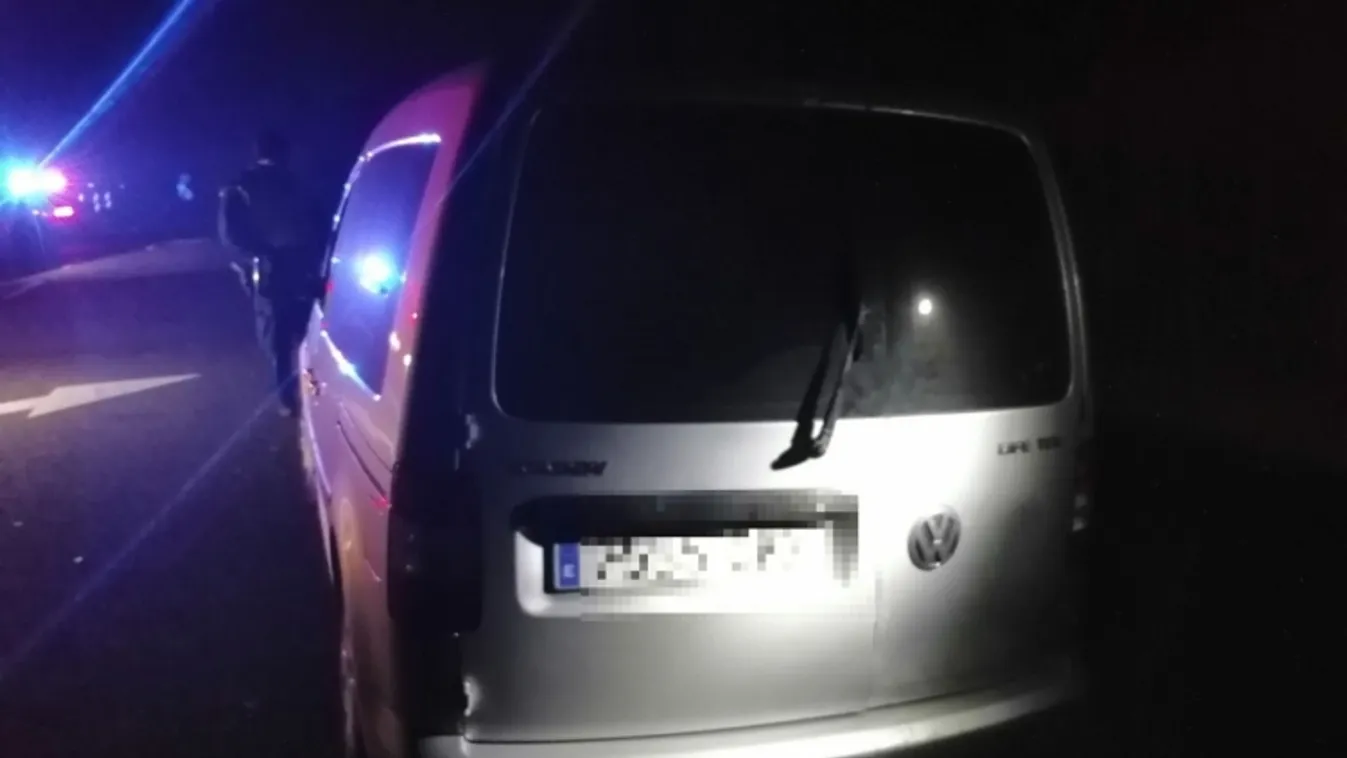 Indiai embercsempész bukott le Bogyiszlónál