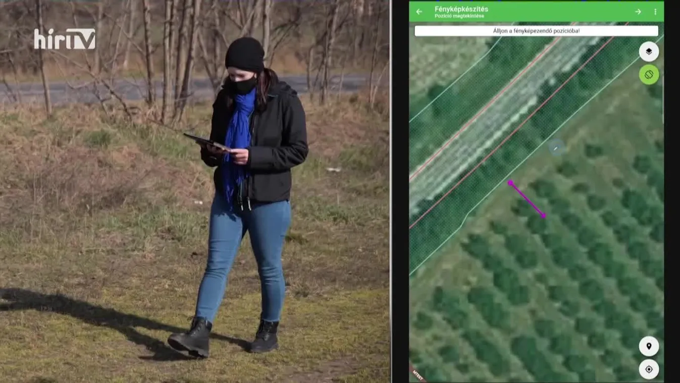 Soroló (2021-11-20)