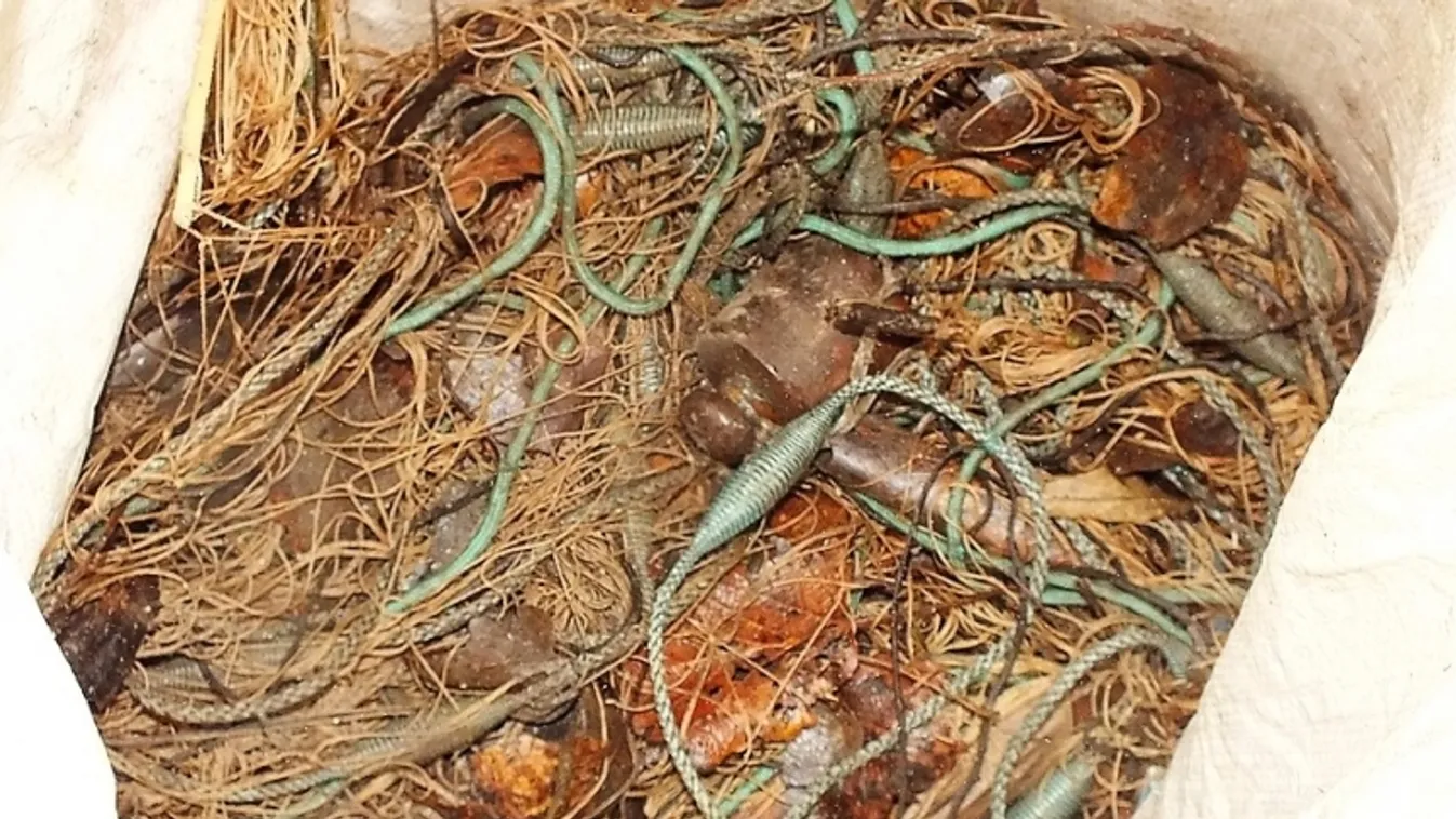 Orvhalászat és közfeladatot ellátó személy elleni erőszak miatt kell felelnie