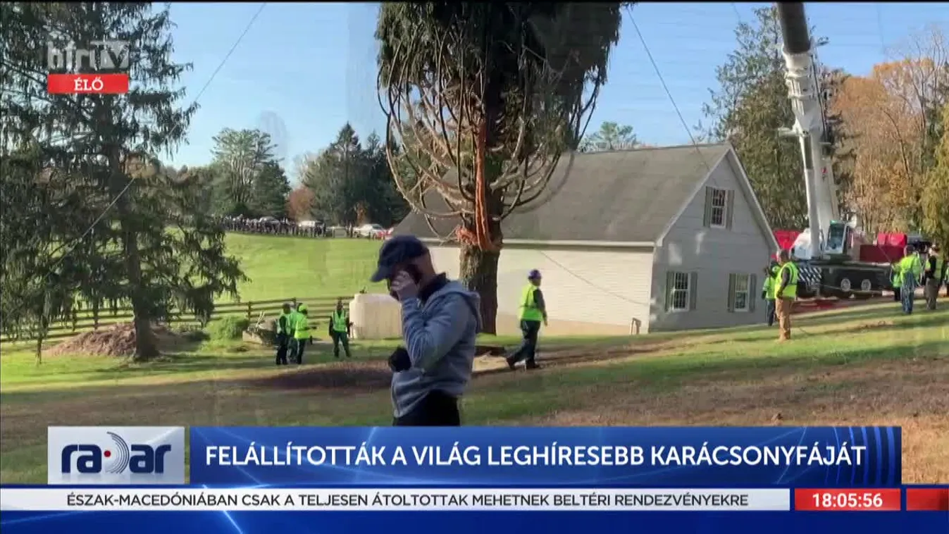 Radar: Felállították a világ leghíresebb karácsonyfáját