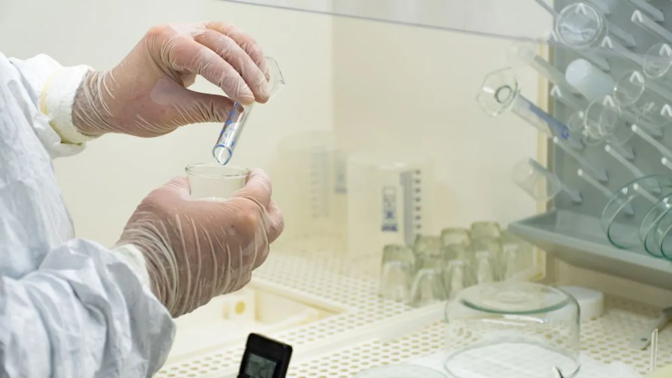 A fertőzöttek száma 255 millió, a halálos áldozatoké 5,1 millió a világon