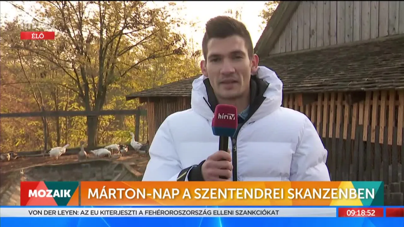 Mozaik - Márton-nap a szentendrei Skanzenben