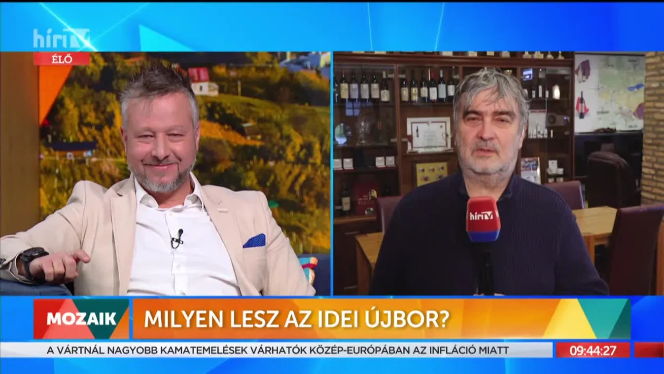 Mozaik-Milyen lesz az idei újbor? (2021-11-11)