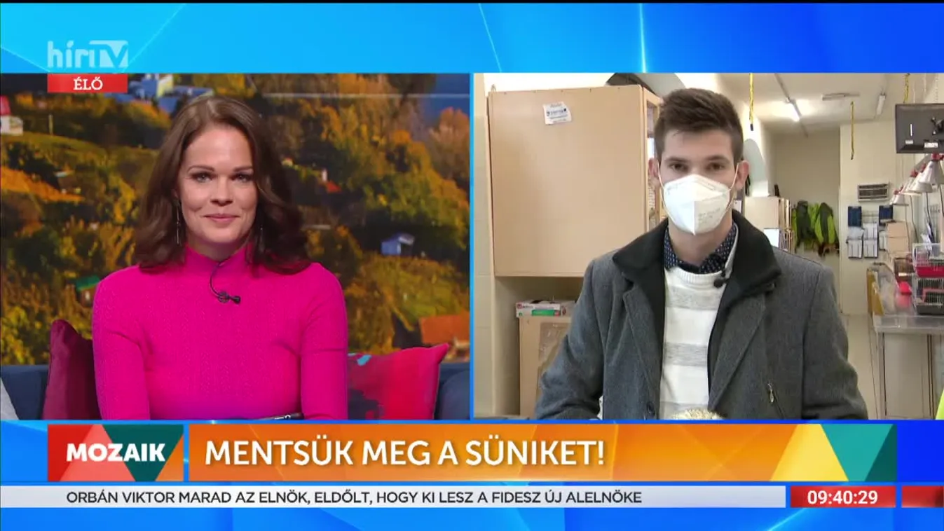 Mozaik - Mentsük meg a süniket (2021-11-15)