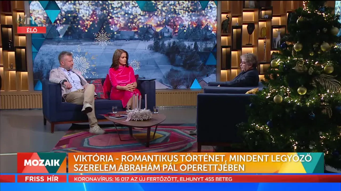 Mozaik -Viktória - Romantikus történet