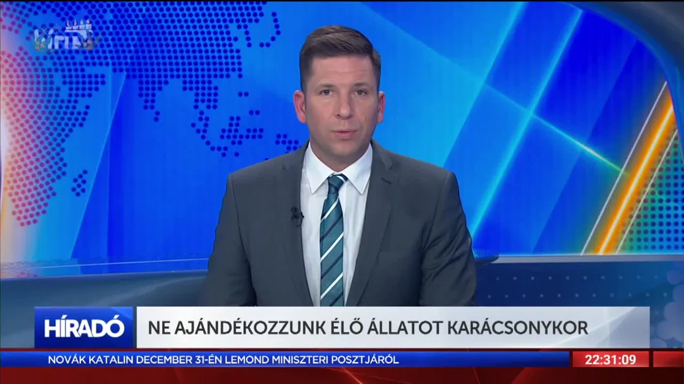 Ne ajándékozzunk élő állatot karácsonykor