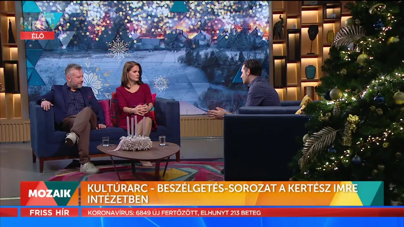 Mozaik - Kultúrharc beszélgetés-sorozat (2021-12-08)