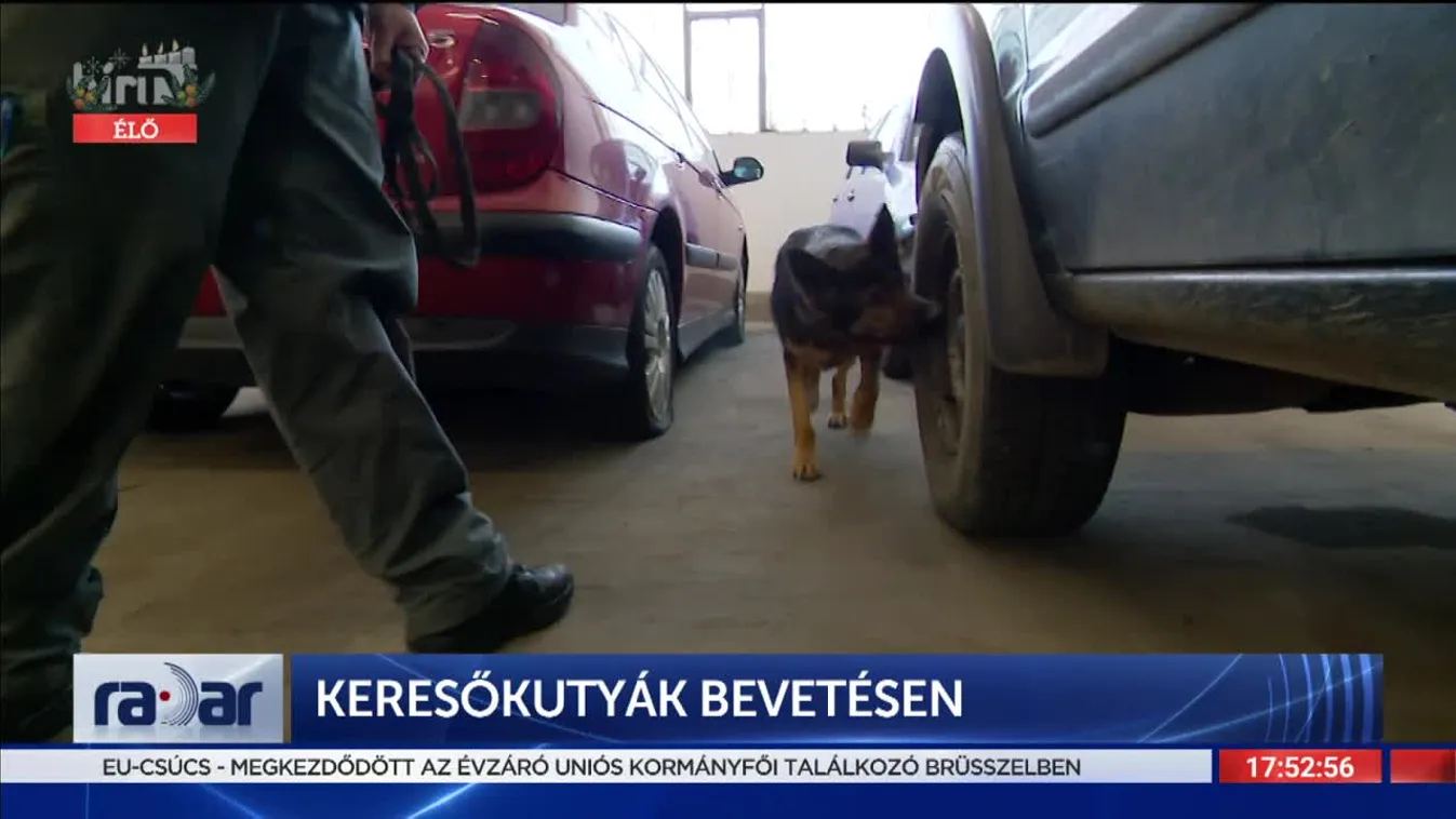 Radar - Keresőkutyák bevetésen (2021-12-16)