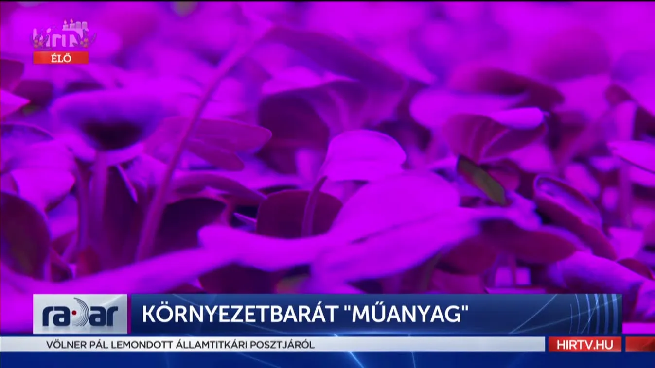 Radar: Környezetbarát "műanyag"