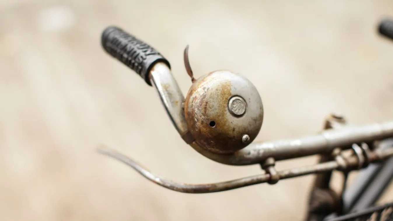 Múzeumból lopott a testvérpár