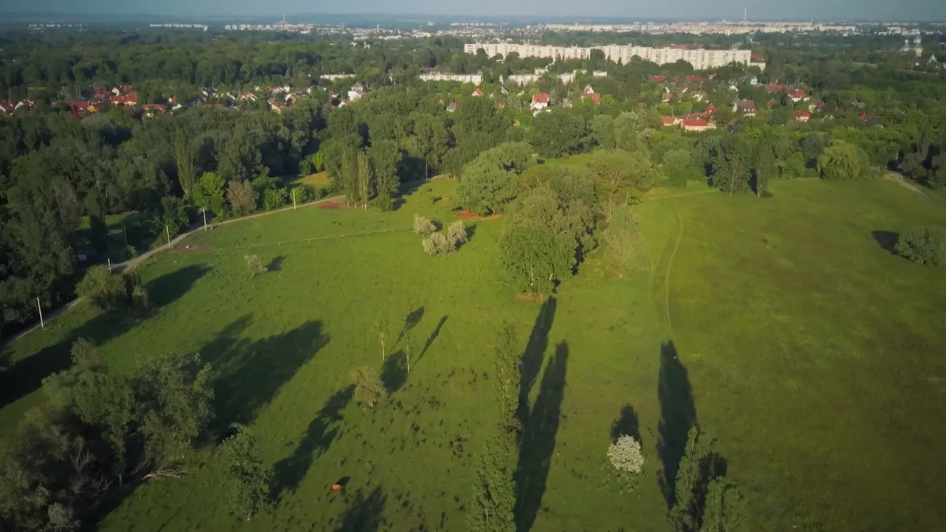Karácsony Gergely hatalmas zöld területet építtetne be