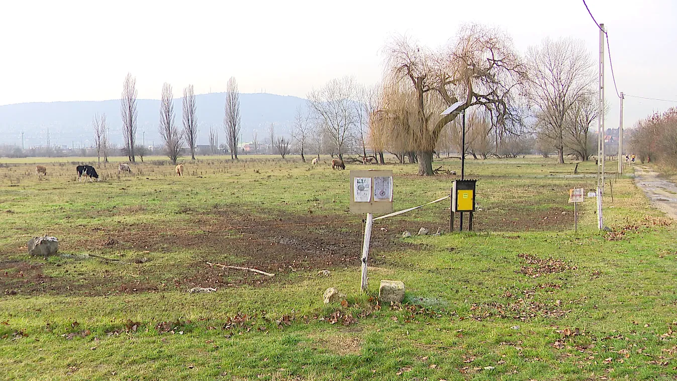 A Mocsárosdűlő ügye is a Városháza eladást vizsgáló bizottság elé kerül