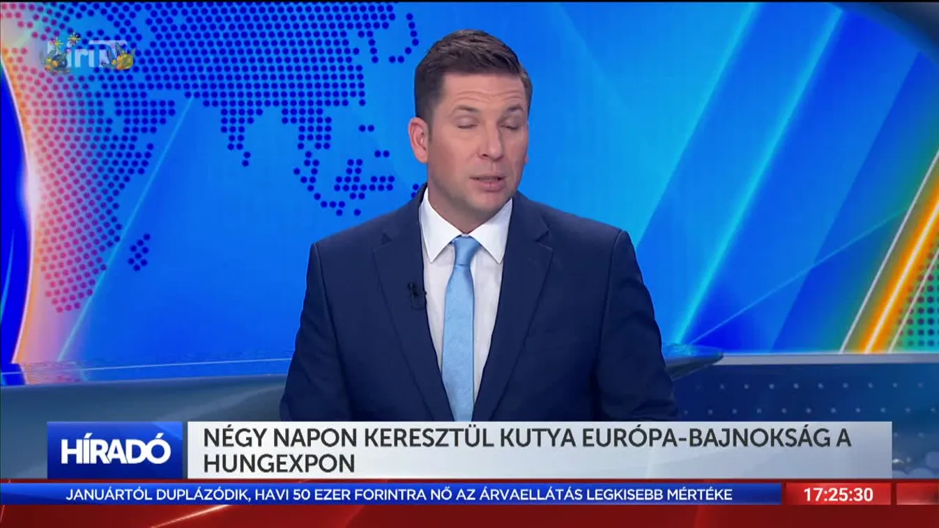 Négy napon keresztül kutya Európa-bajnokság a Hungexpon