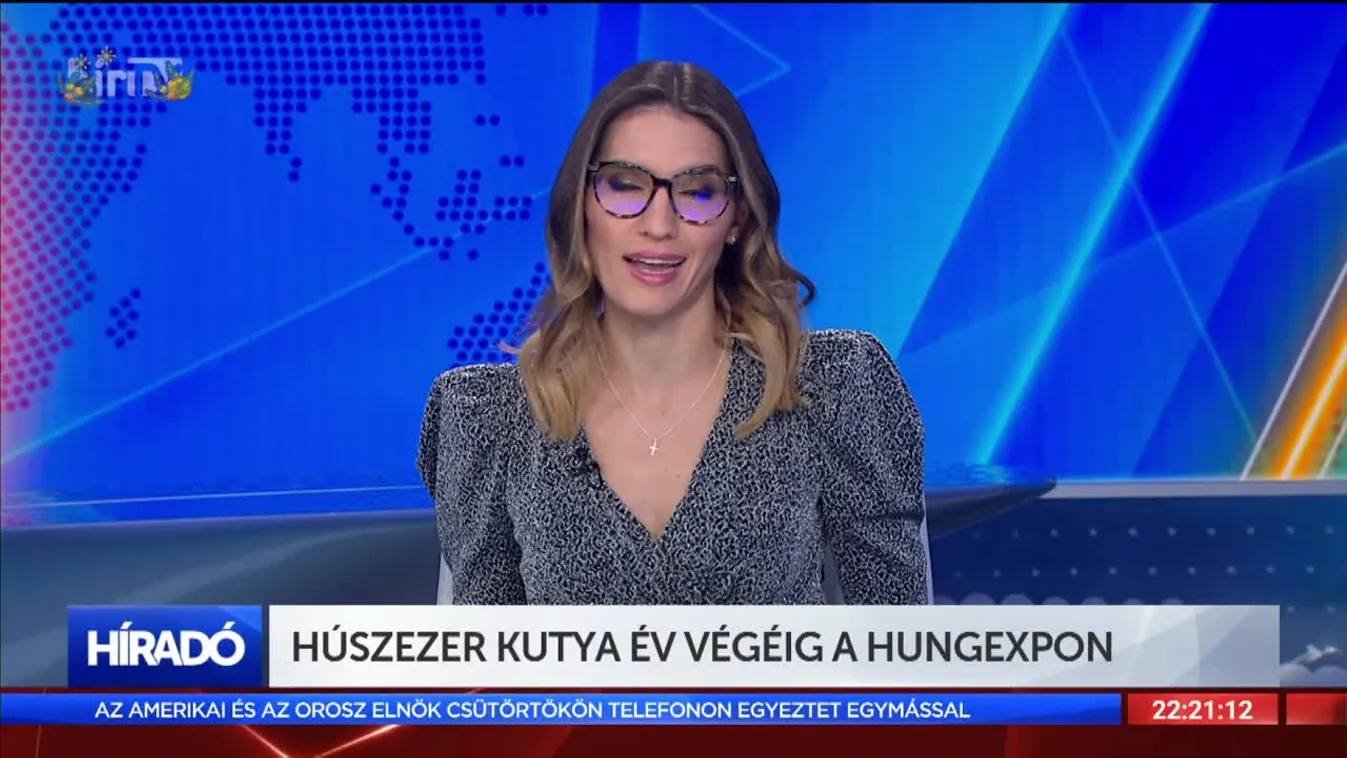 Húszezer kutya év végéig a Hungexpón