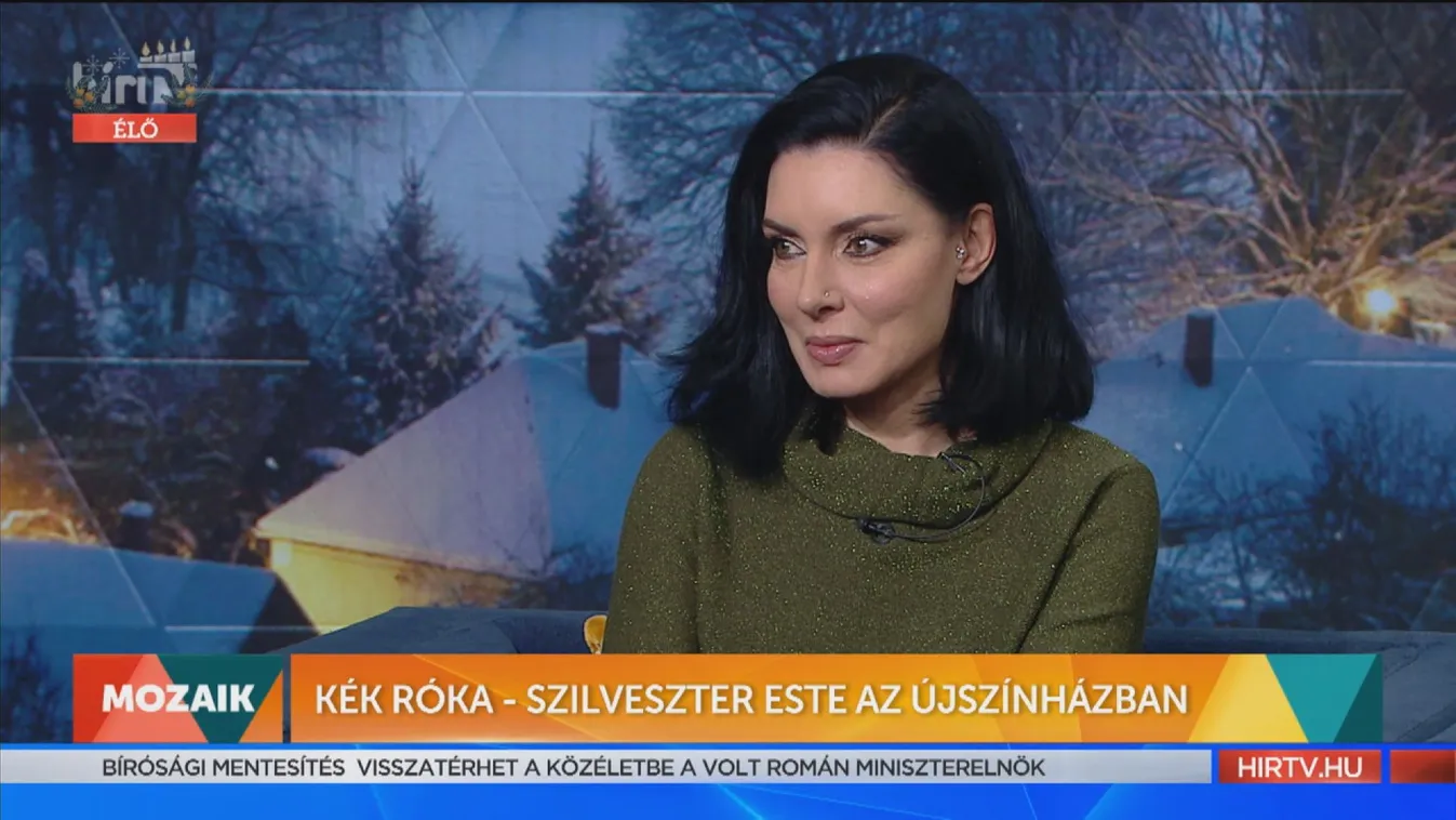 Mozaik: Kék róka - Szilveszter este az újszínházban