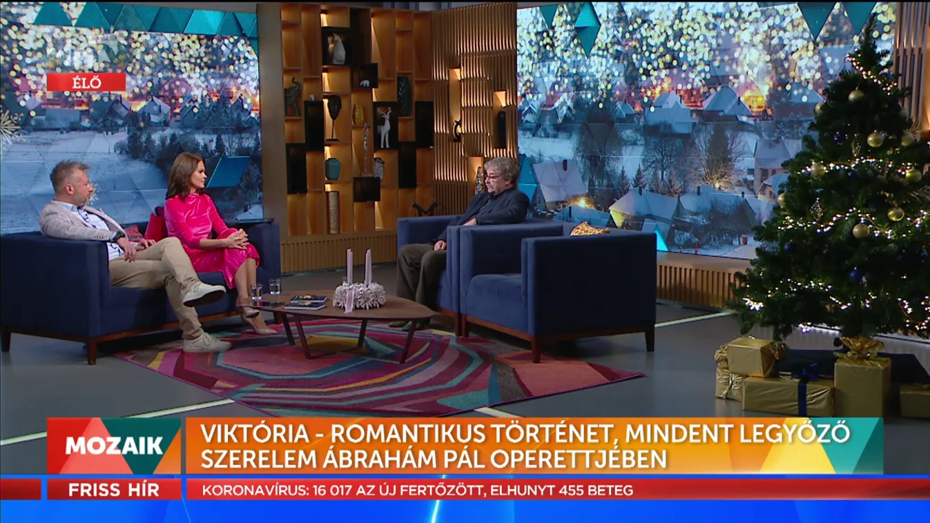 Mozaik - Viktória – Romantikus történet