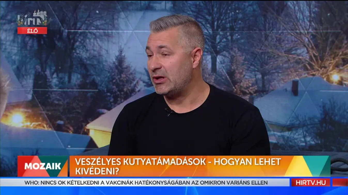 Mozaik - Veszélyes kutyatámadások (2021-12-08)