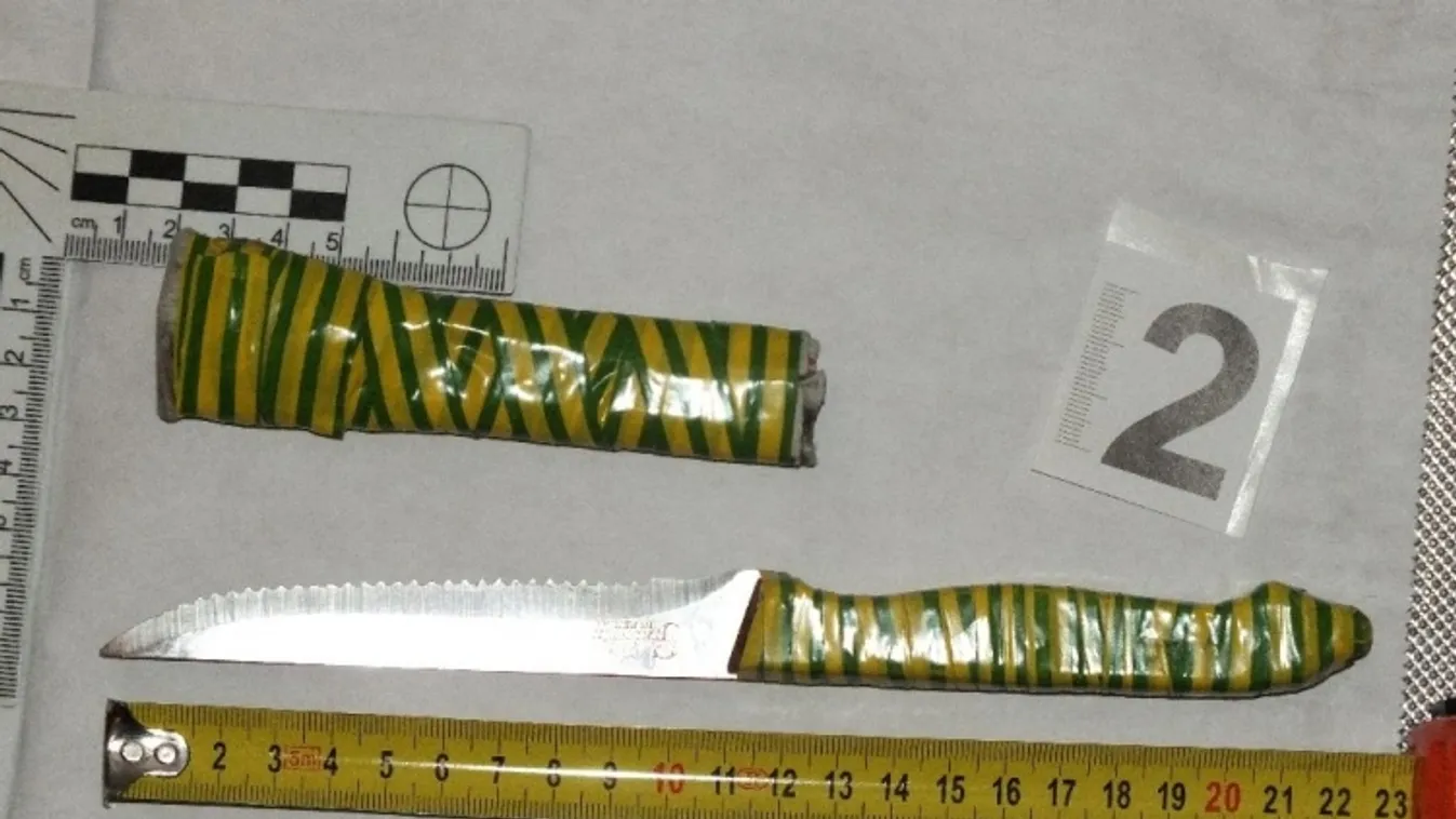 Rendőrkézen a késelő