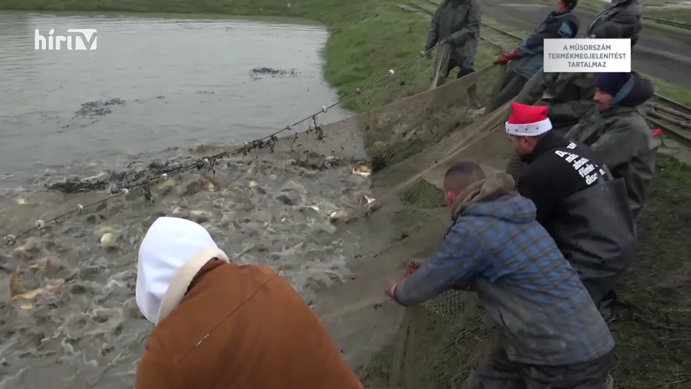 Soroló: Növekszik a halfogyasztás Magyarországon