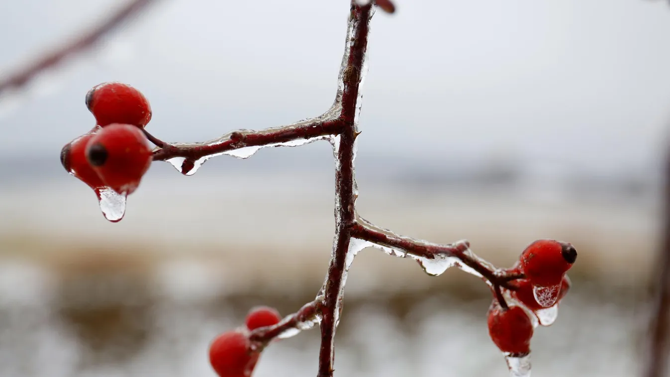 Folytatódik a télies időjárás, de hétvégére ismét melegszik az idő