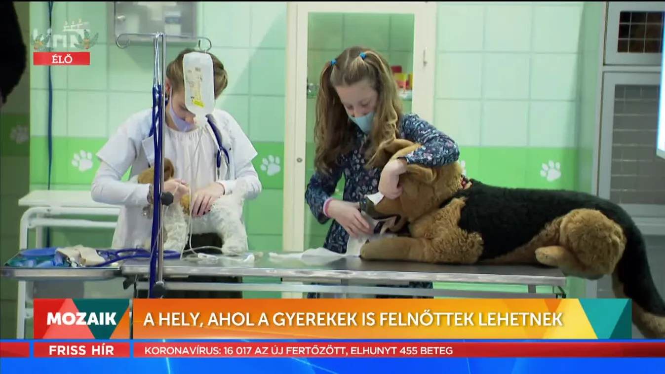 Mozaik - A hely, ahol a gyerekek is felnőttek lehetnek