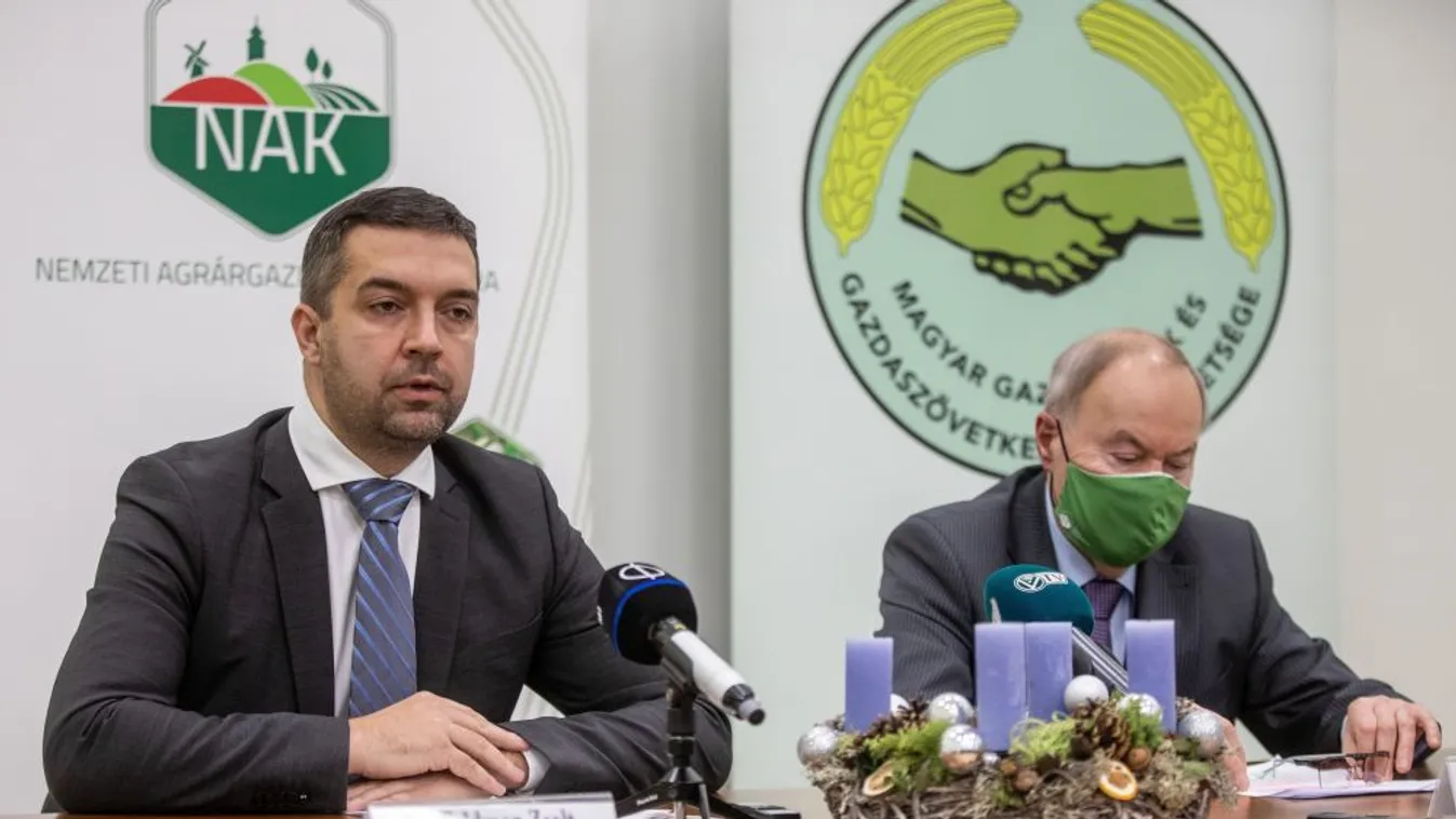 Feldman Zsolt: Meghátrált Bige László