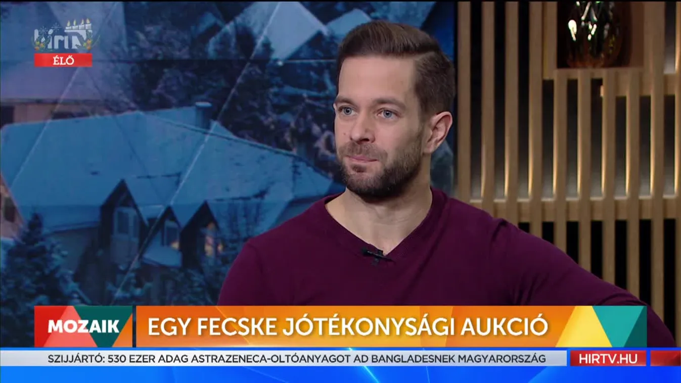 Mozaik - Egy Fecske Jótékonysági Aukció (2021-12-22)