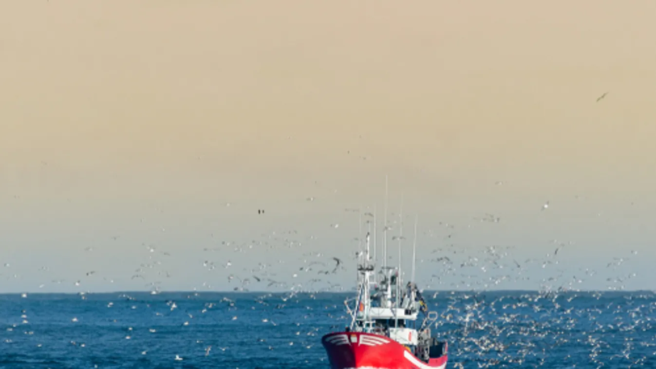 Az EU megállapodott a 2022-es halászati kvótákról