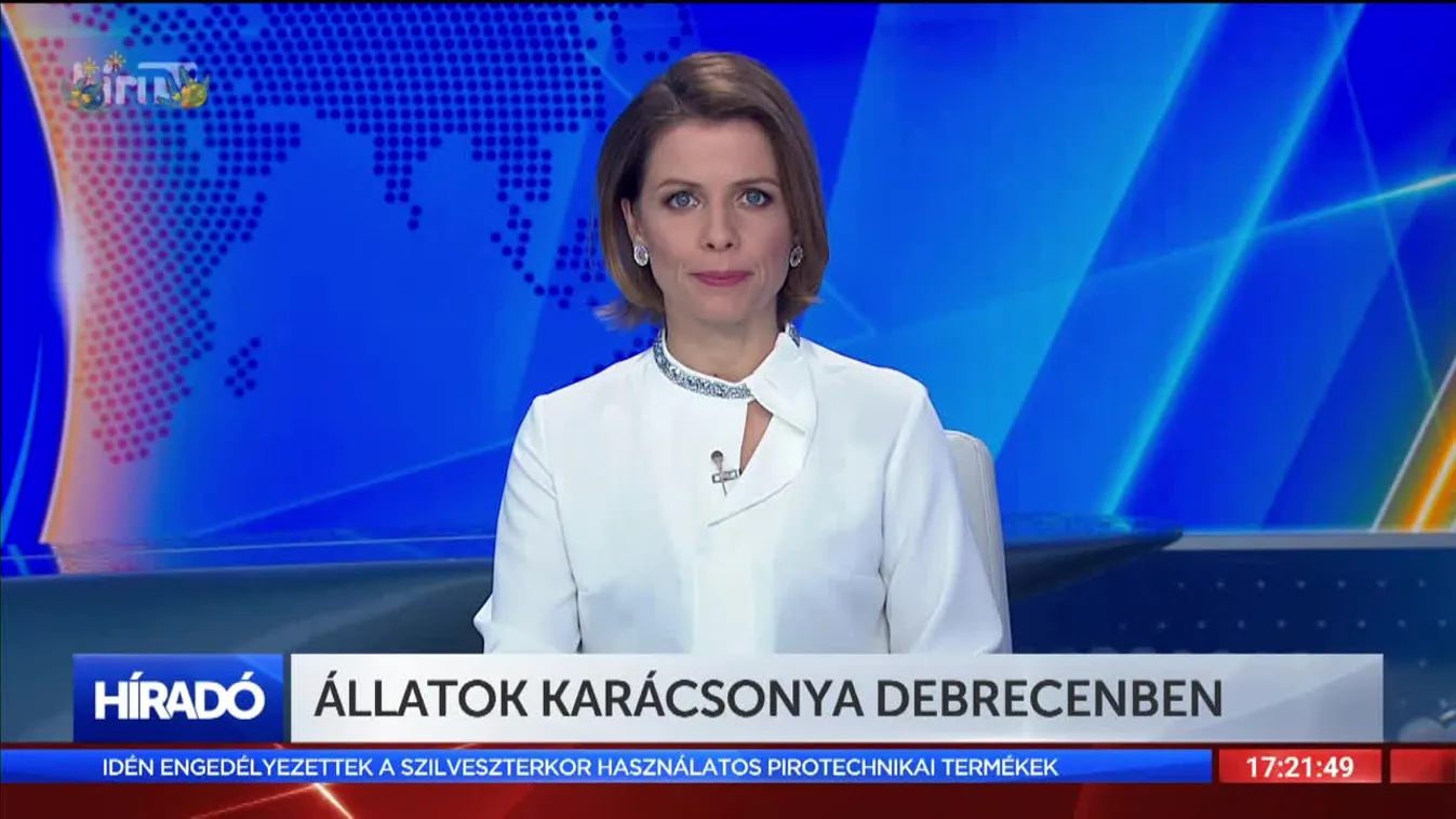 Állatok karácsonya Debrecenben
