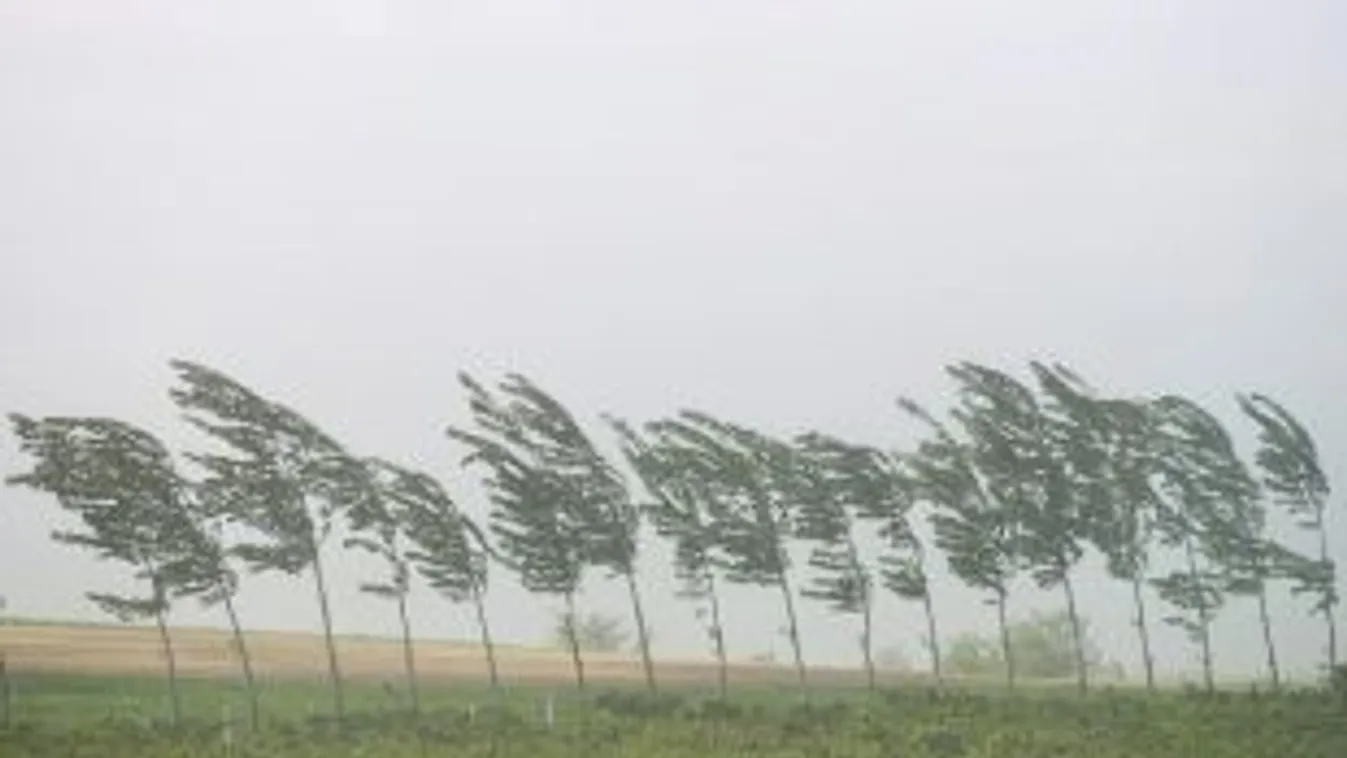 OKF: 241 helyszínre riasztották a tűzoltókat hétfőn a viharos szél miatt