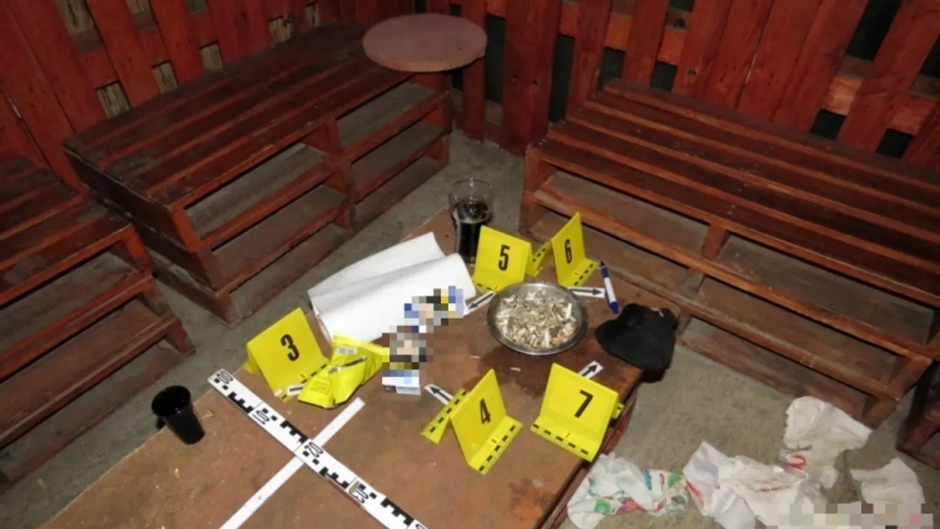 Lezárt akta: „Csak előkaptam és spontán megkarmoltam vele ”