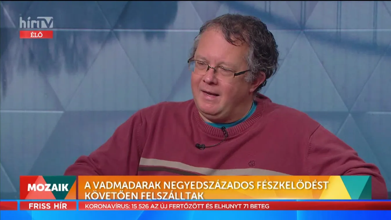 Mozaik - A vadmadarak felszálltak (2022-01-20)