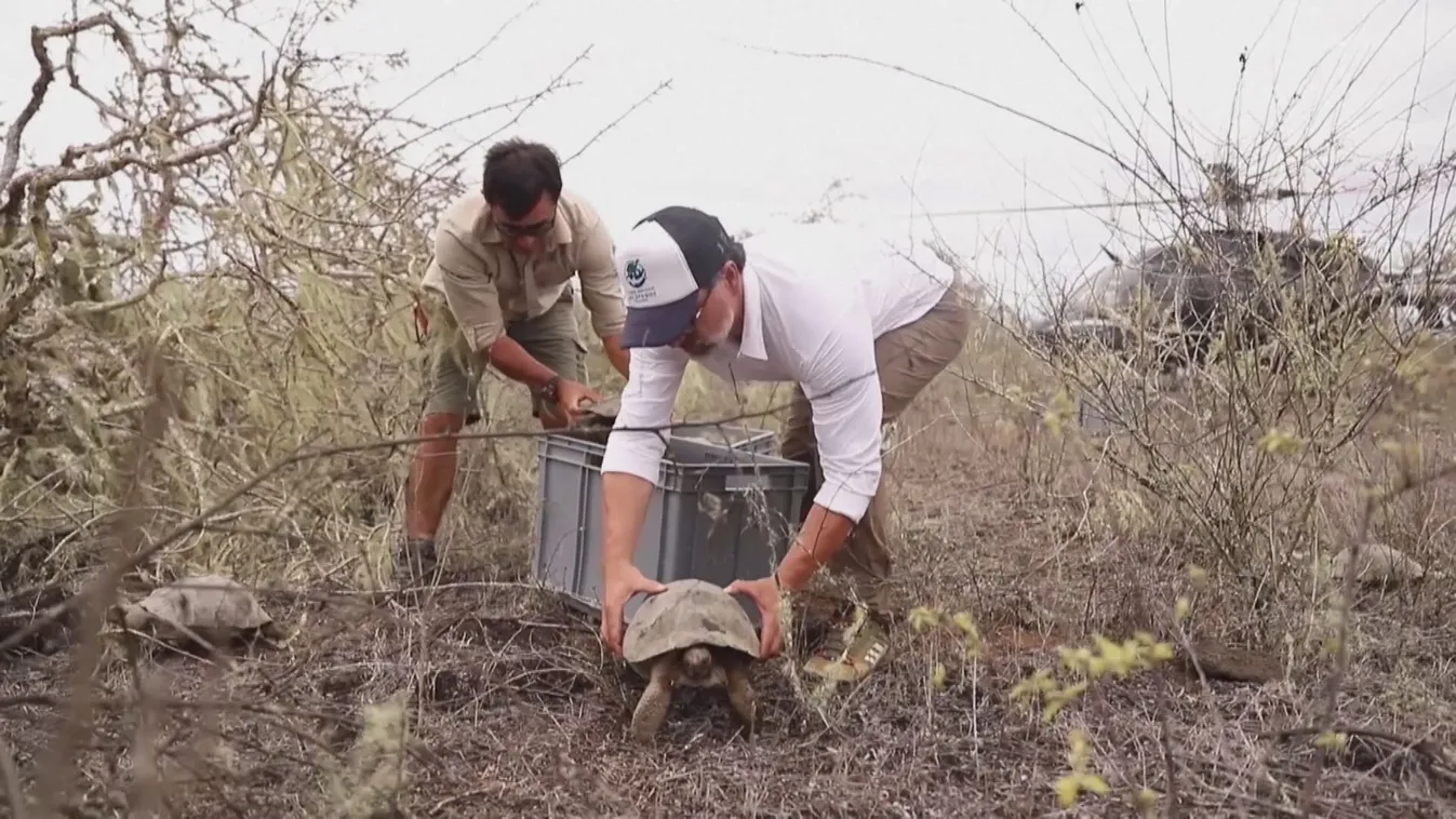 Radar - Állati hírek a világból