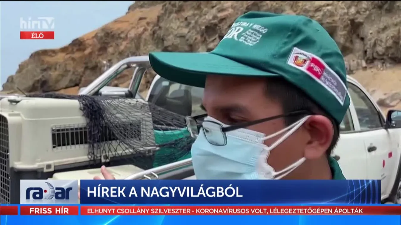 Radar: Hírek a nagyvilágból