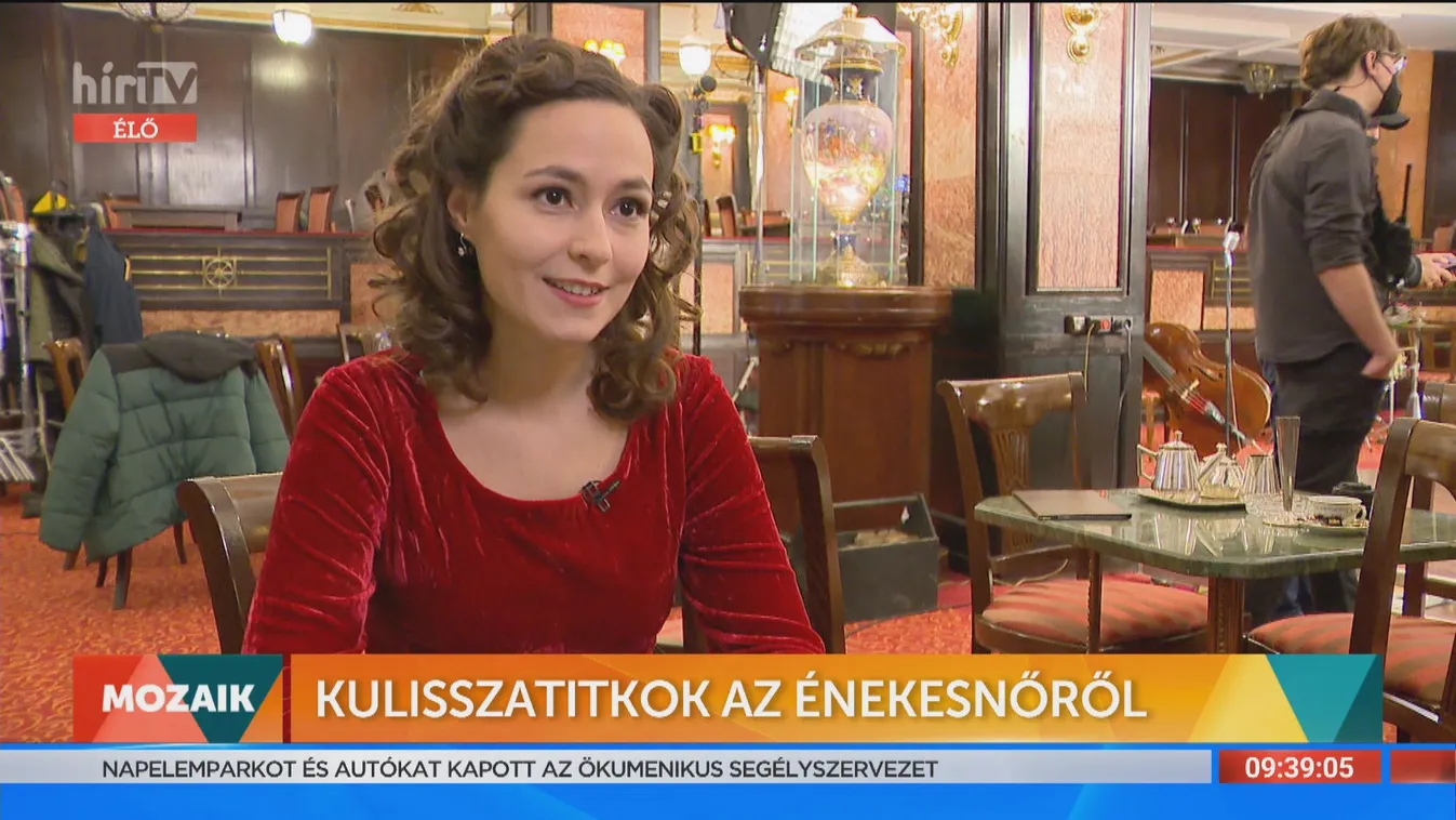 Mozaik - Kulisszatitkok Az énekesnőről