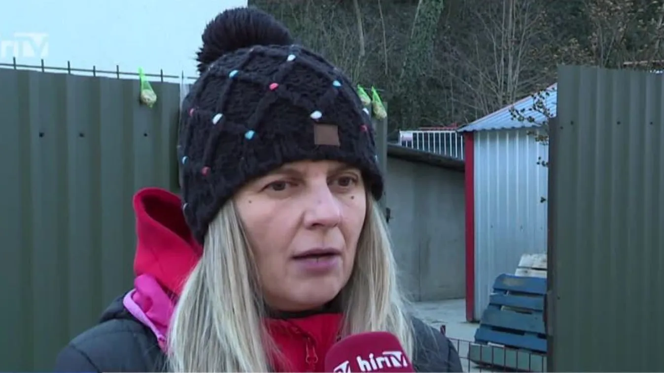 A házi kedvencekre nézve is veszélyes az extrém hideg