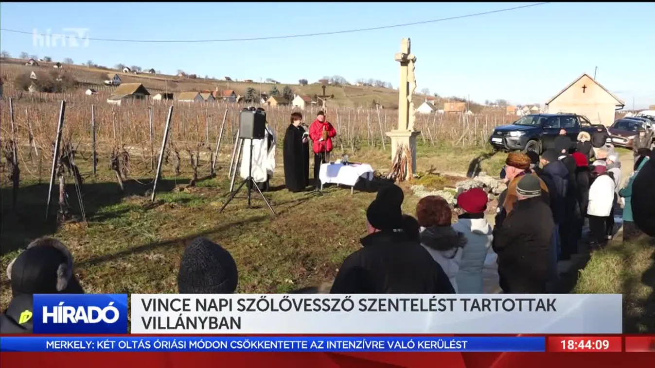 Vince napi szőlővessző szentelést tartottak Villányban